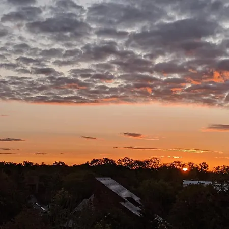 Mini Sun With Private Garage Parking *