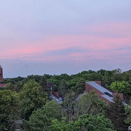 Mini Sun With Private Garage Parking