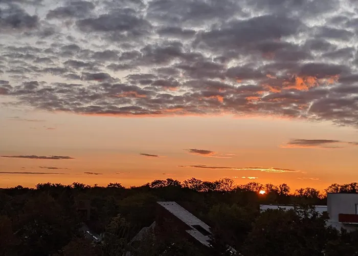 Mini Sun With Private Garage Parking *